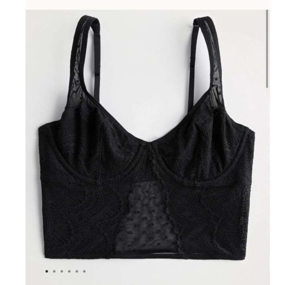 Hollister - Gilly Hicks Lace & Dot Mesh Bustier Bra Top